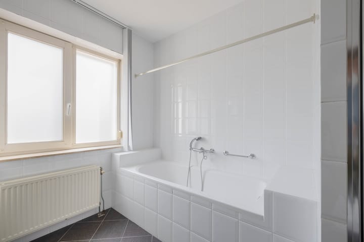 Foto 27 van Watermunt 100