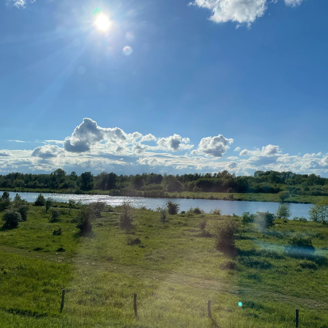 Foto 38 van Watermunt 100