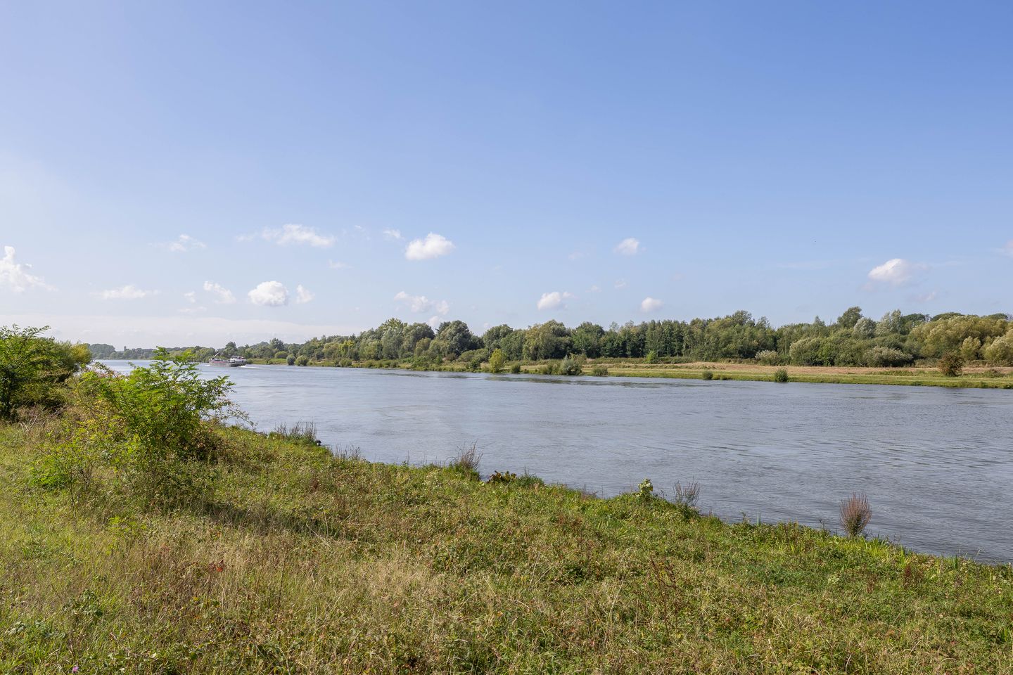 Foto 35 van Watermunt 100