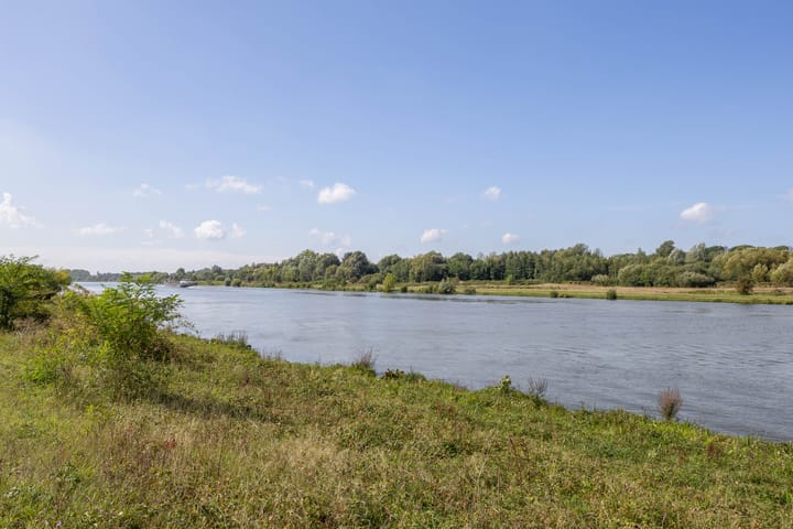 Foto 35 van Watermunt 100