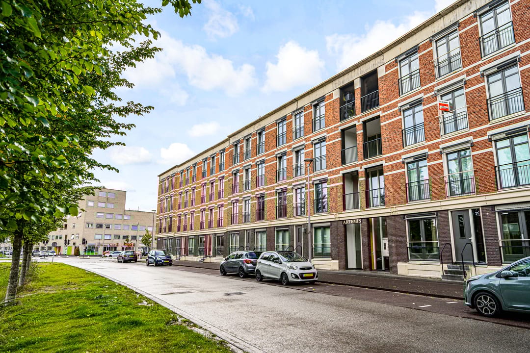 Foto 1 van Artemissingel 220