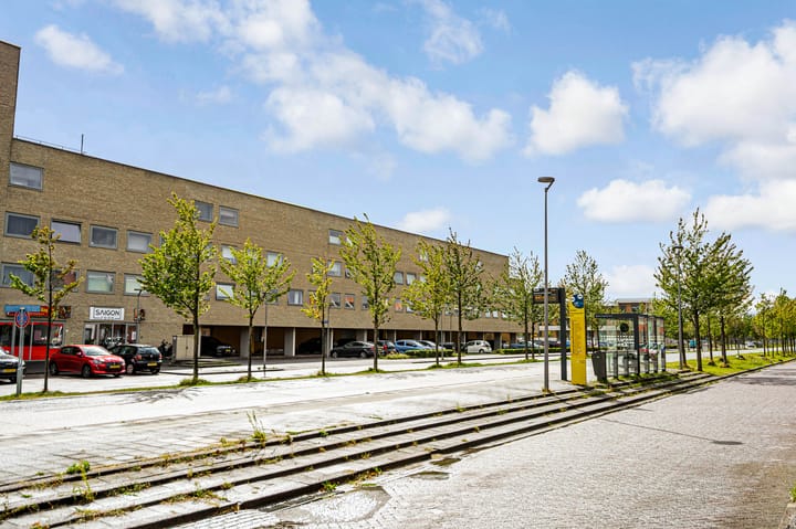 Foto 39 van Artemissingel 220