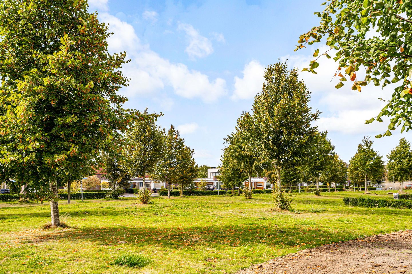 Foto 40 van Artemissingel 220