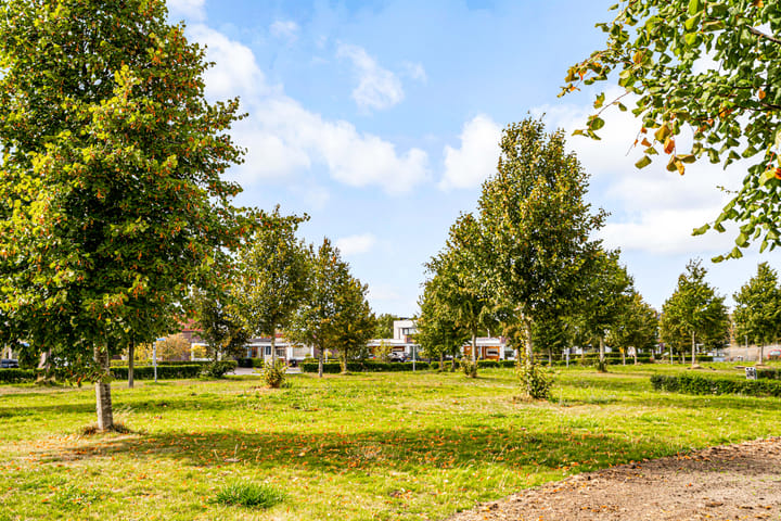 Foto 40 van Artemissingel 220