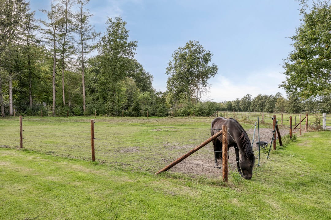 Foto 76 van Wieselse Kampweg 64