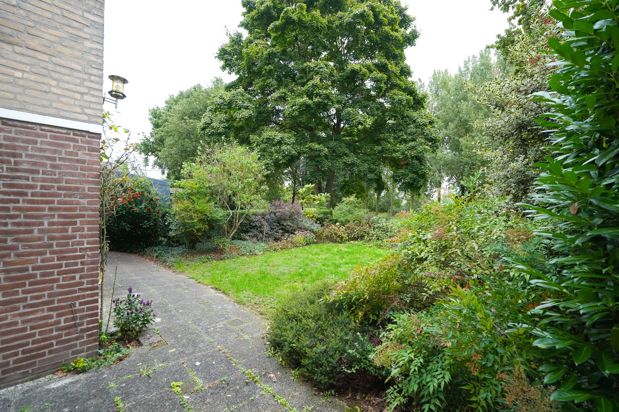 Foto 24 van Bolognalaan 8