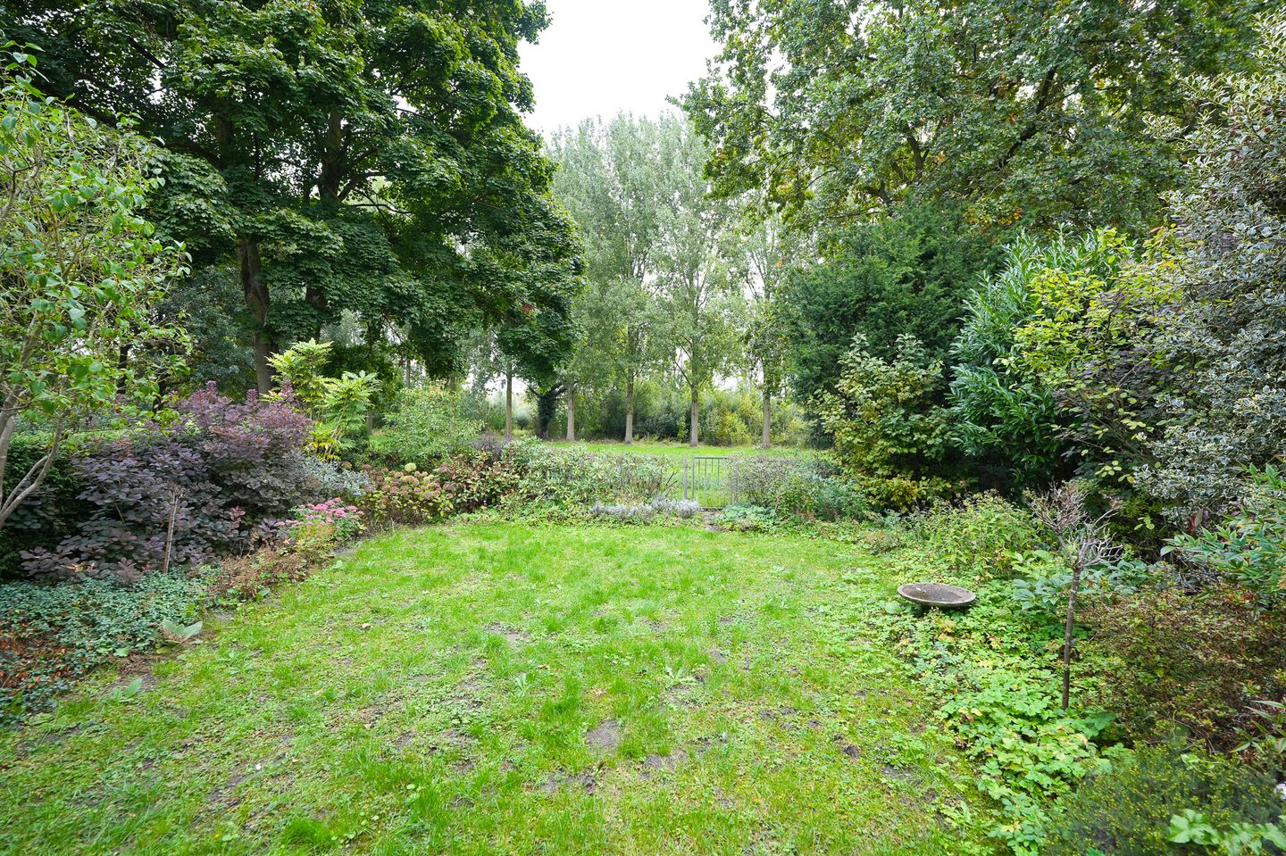 Foto 25 van Bolognalaan 8