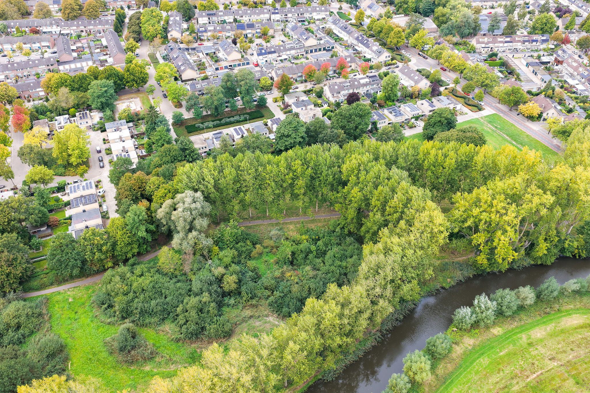 Foto 48 van Bolognalaan 8