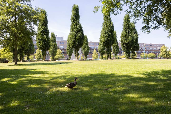 Photo 38 of Aert van Neslaan 422