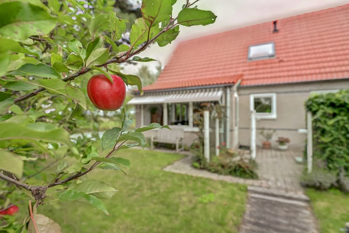 Photo 25 of Droge Wijmersweg 5-100