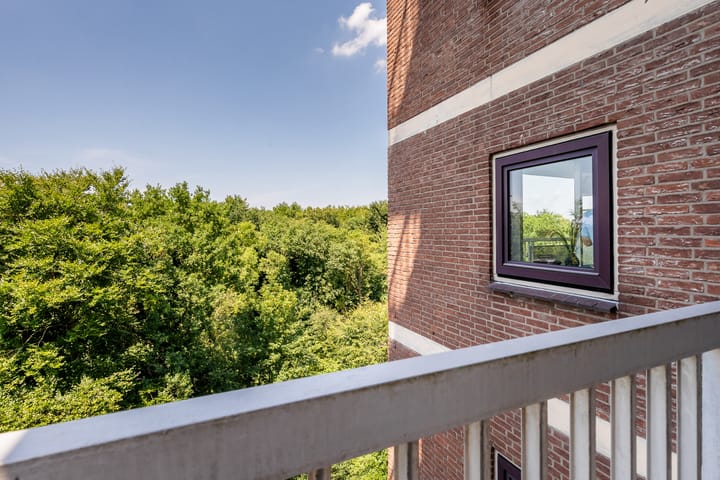 Photo 23 of Boslaan 249