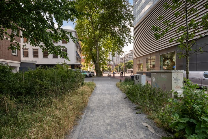 Photo 28 of Boslaan 249