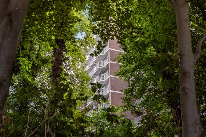 Photo 29 of Boslaan 249