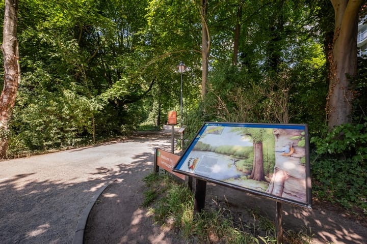 Photo 30 of Boslaan 249