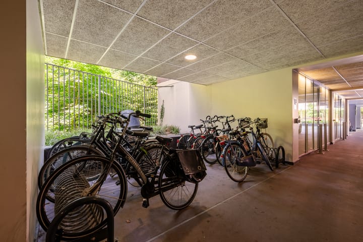 Photo 31 of Boslaan 249