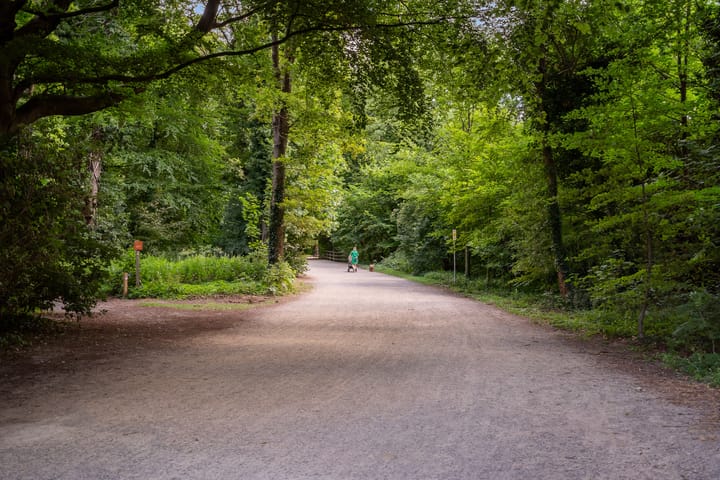 Photo 35 of Boslaan 249