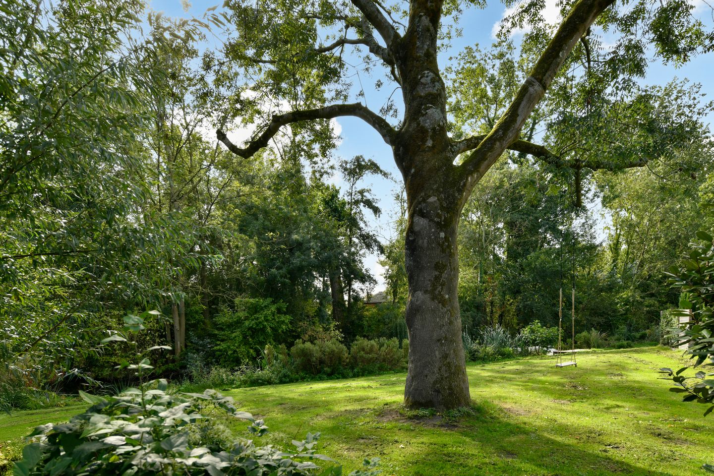 Foto 10 van Platostraat 11