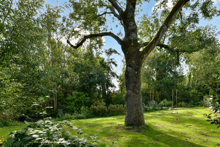 Foto 10 van Platostraat 11