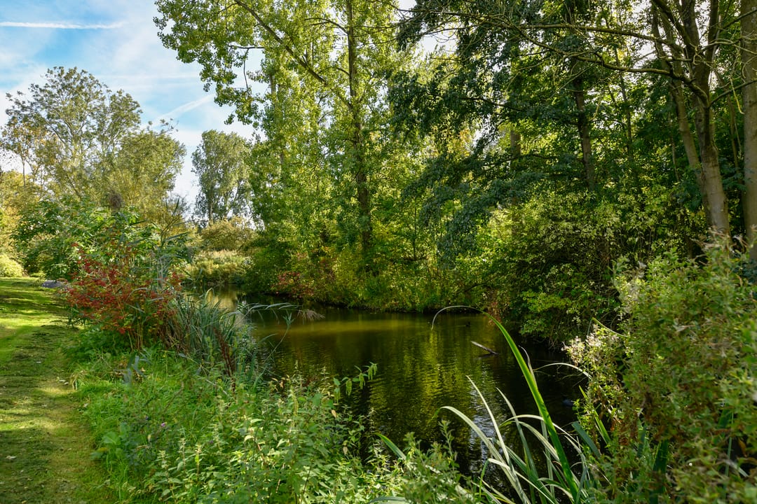 Foto 11 van Platostraat 11