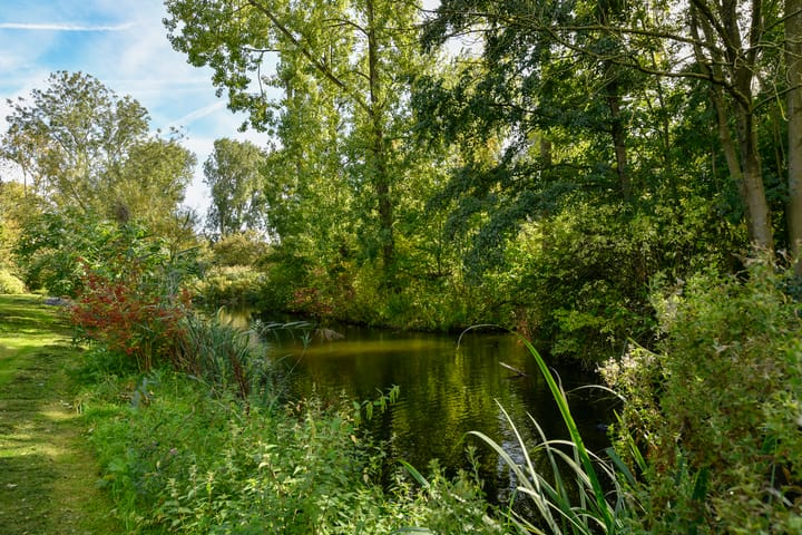 Foto 11 van Platostraat 11