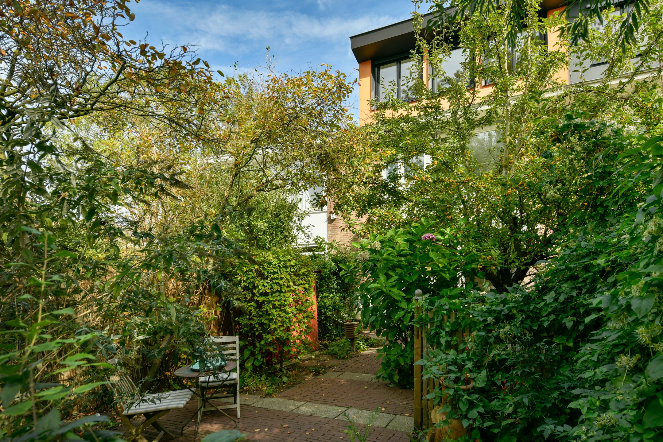 Foto 12 van Platostraat 11