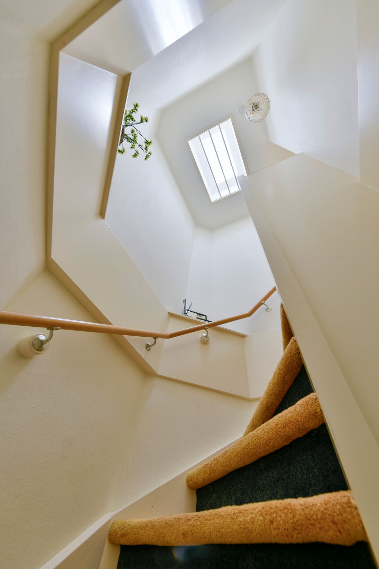 Foto 20 van Platostraat 11