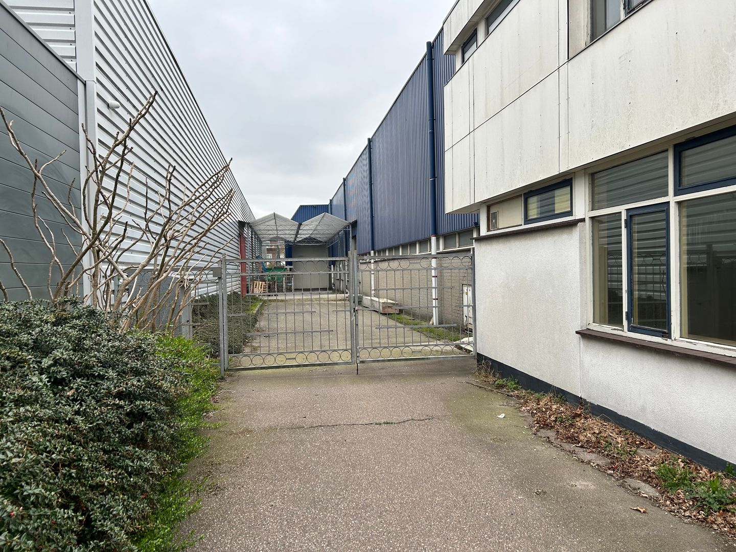 Bekijk foto 5 van Dorpskade 31