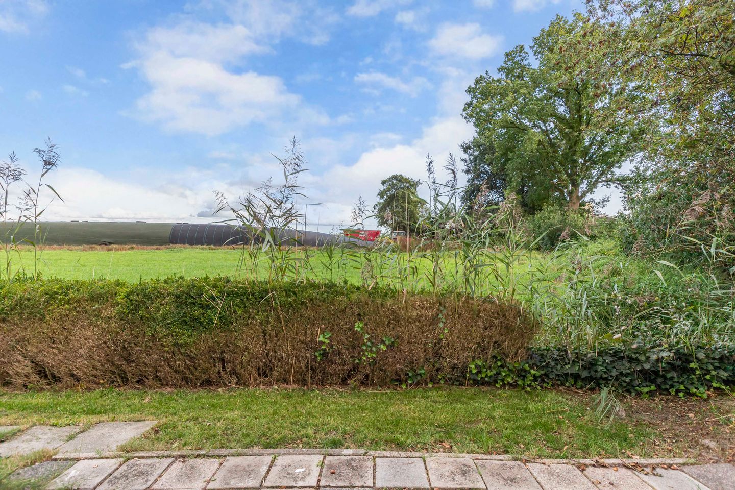 Photo 25 of De Vriehof 6