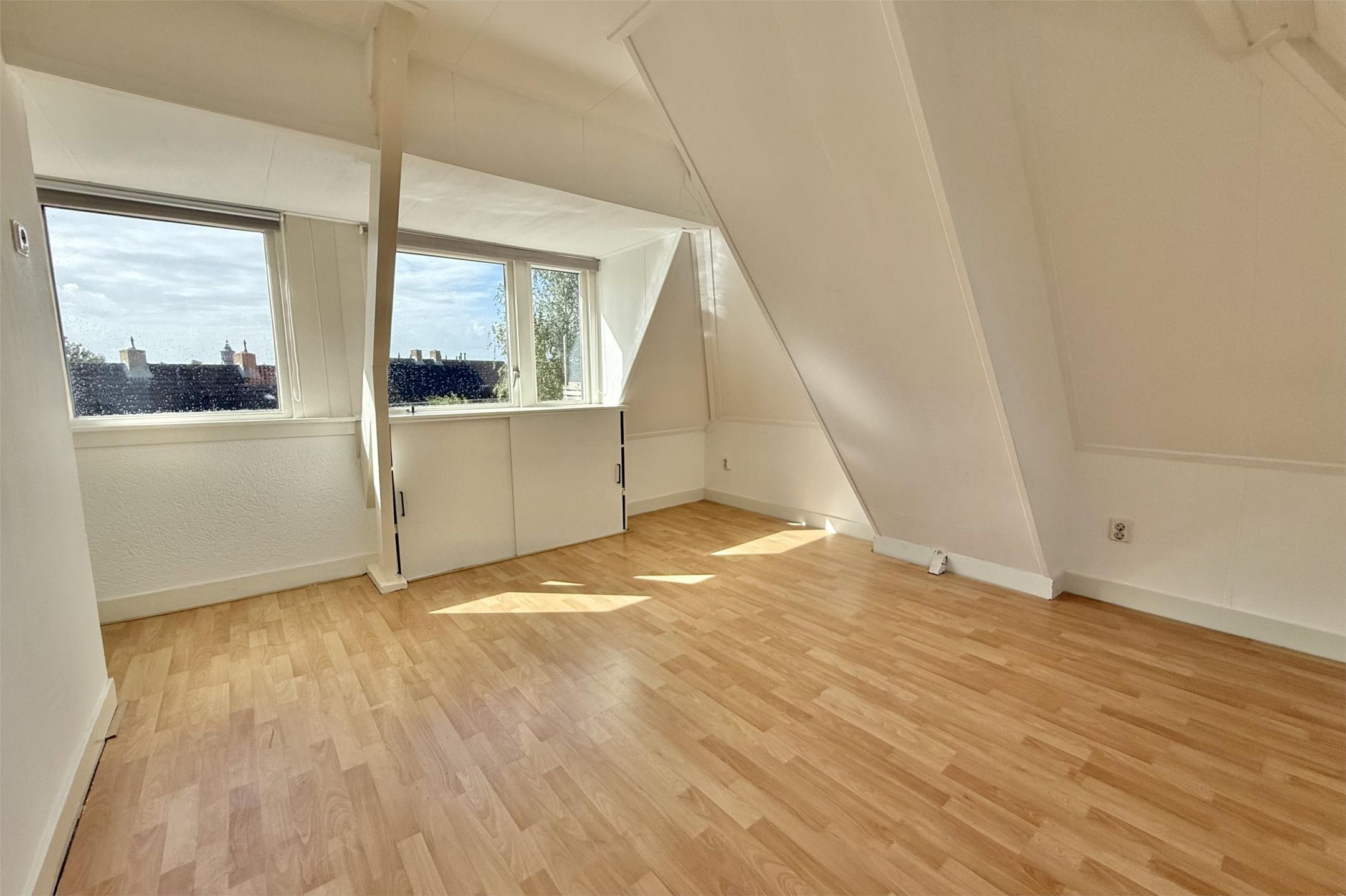 Foto 24 van Johan Willem Frisostraat 44-I