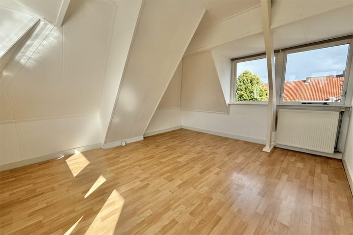 Foto 25 van Johan Willem Frisostraat 44-I