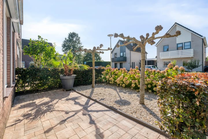 Foto 7 van Ratelaar 12