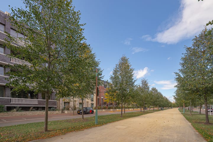 Foto 15 van President Rooseveltlaan 168-A01