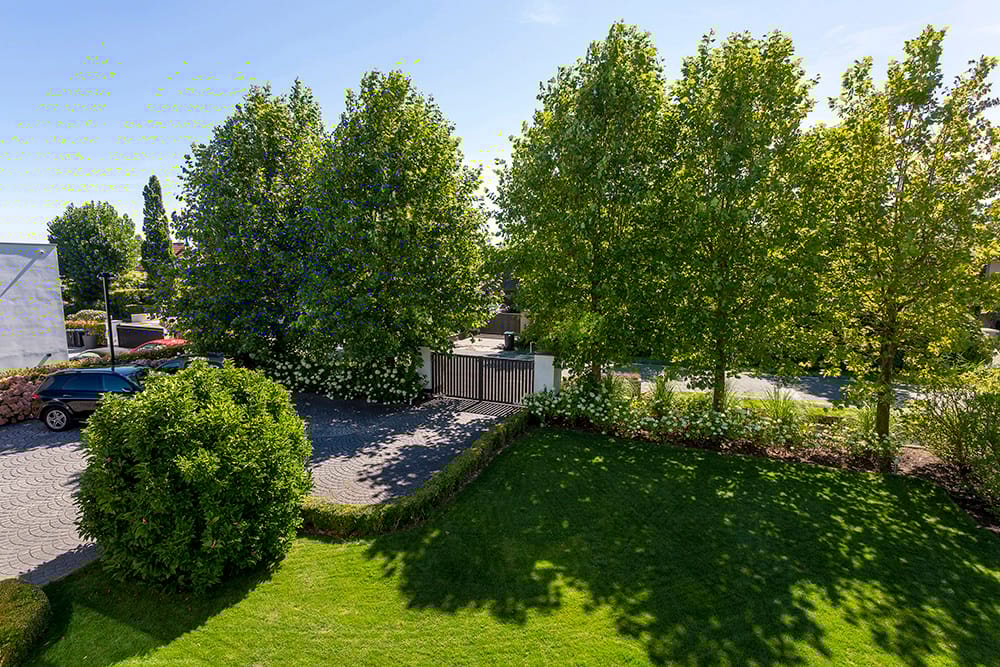 Foto 56 van Baambrugse Zuwe 99