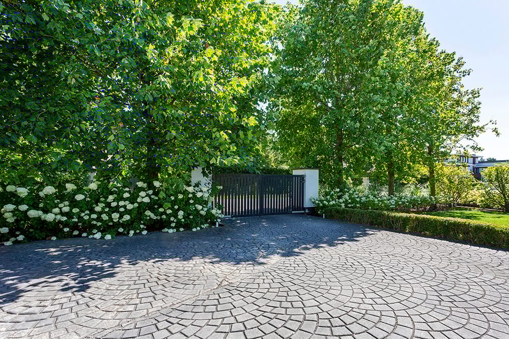 Foto 86 van Baambrugse Zuwe 99