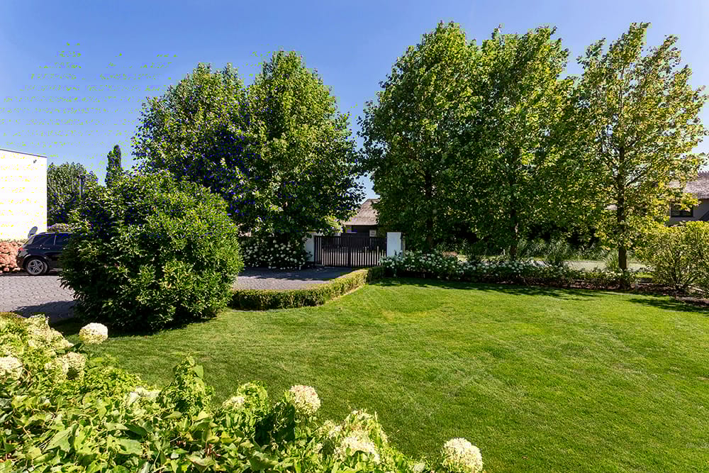 Foto 87 van Baambrugse Zuwe 99