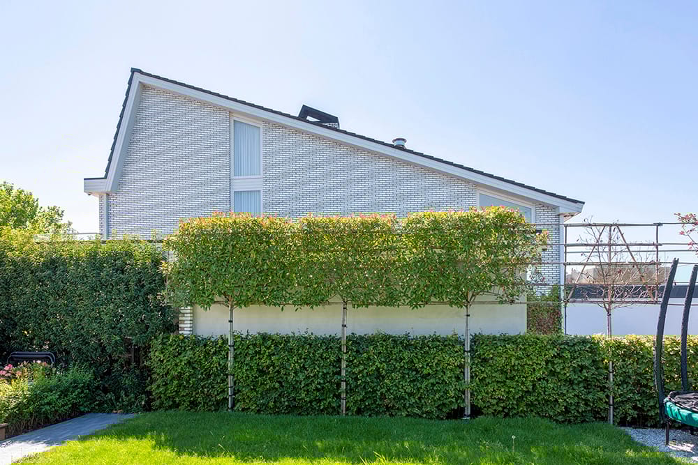 Foto 91 van Baambrugse Zuwe 99