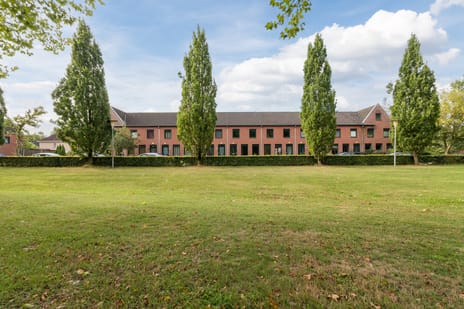 Grasland 38 secondary image