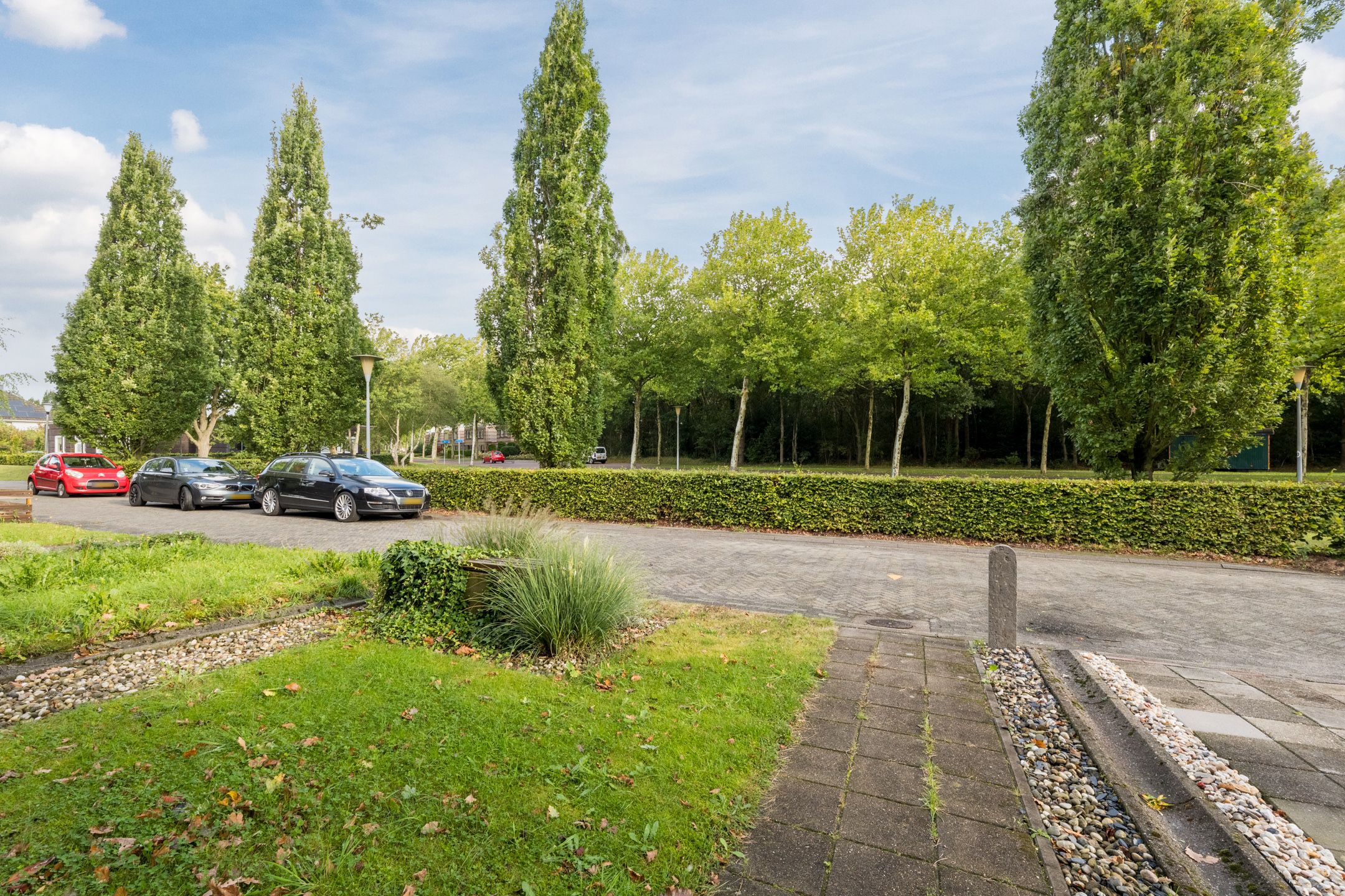 Foto 6 van Grasland 38