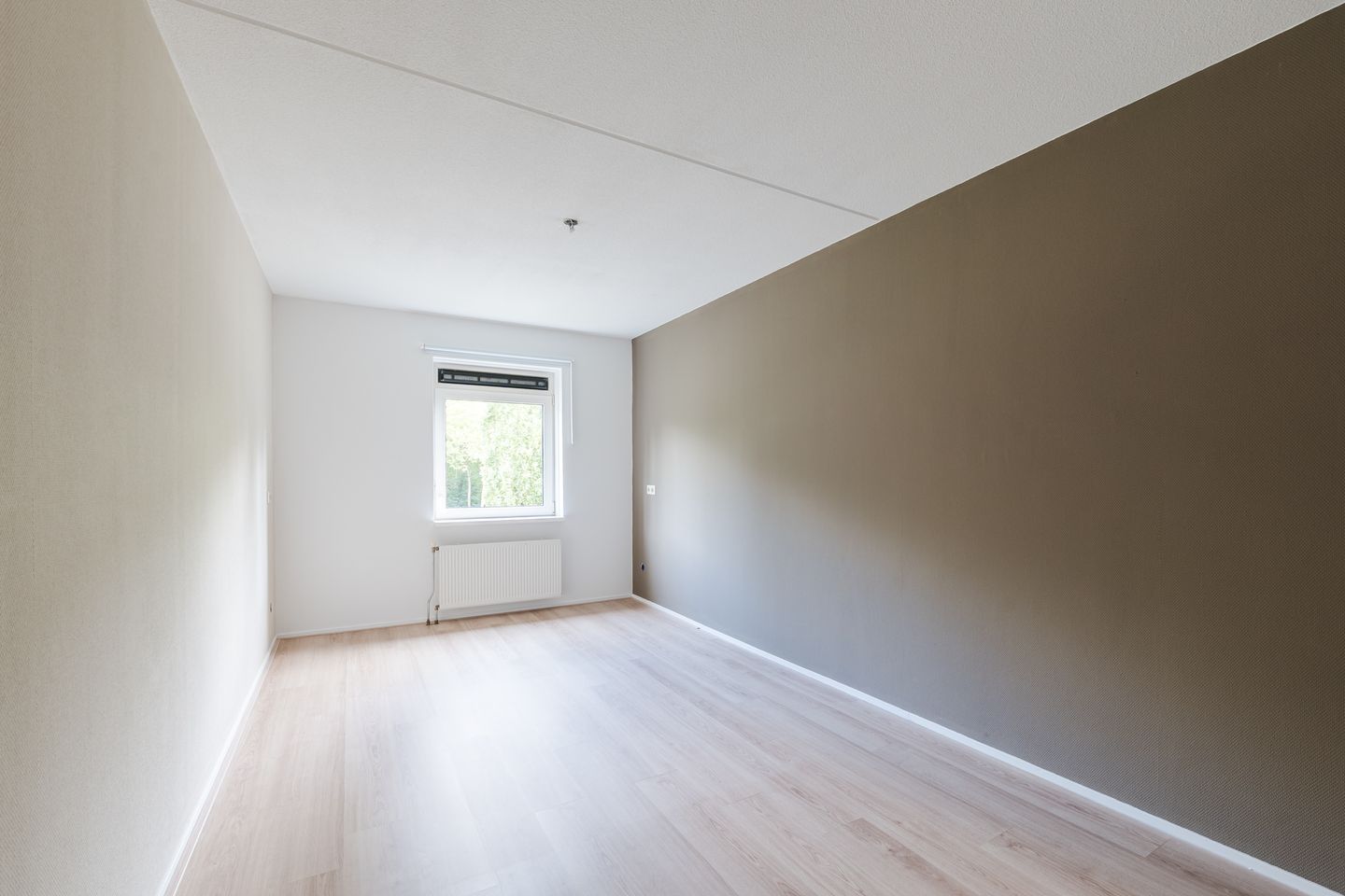 Foto 14 van Grasland 38