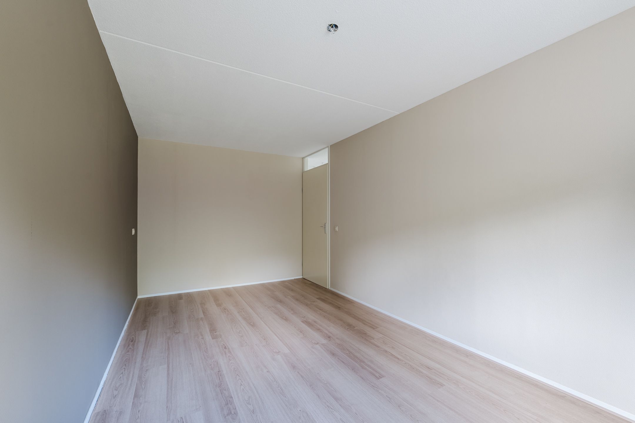 Foto 15 van Grasland 38