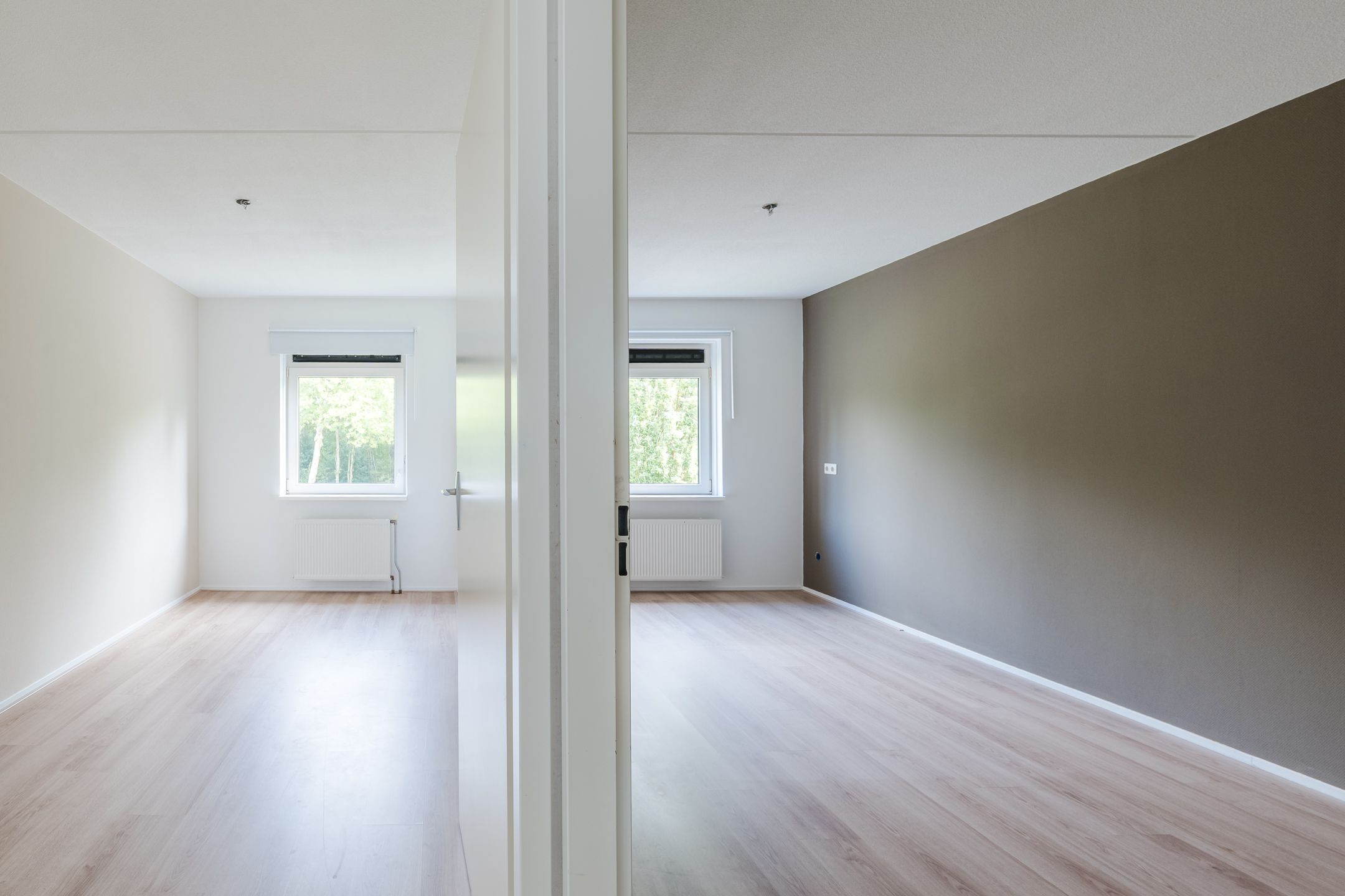 Foto 21 van Grasland 38