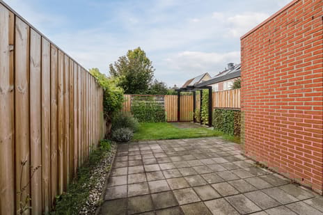 Grasland 38 tertiary image