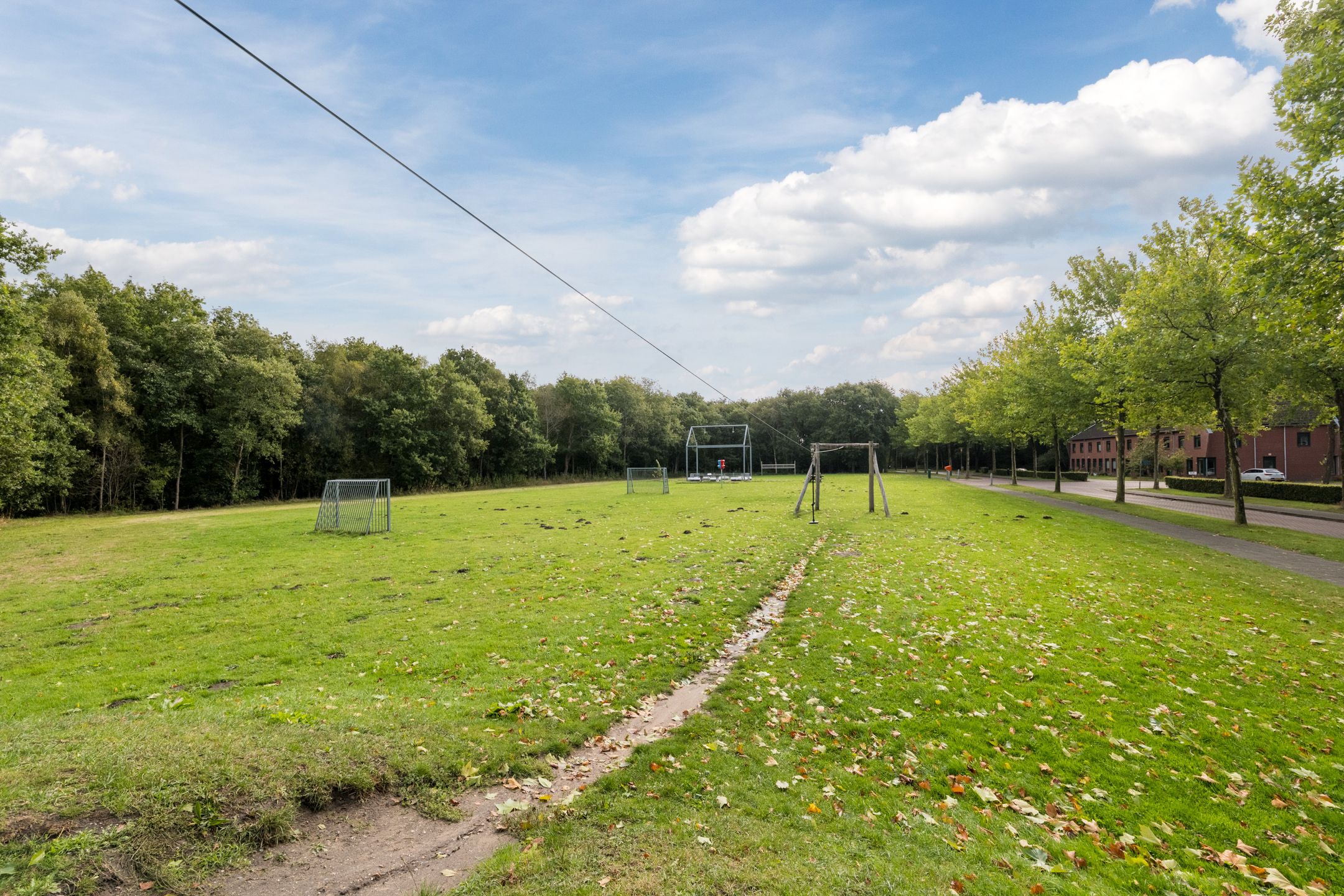 Foto 33 van Grasland 38