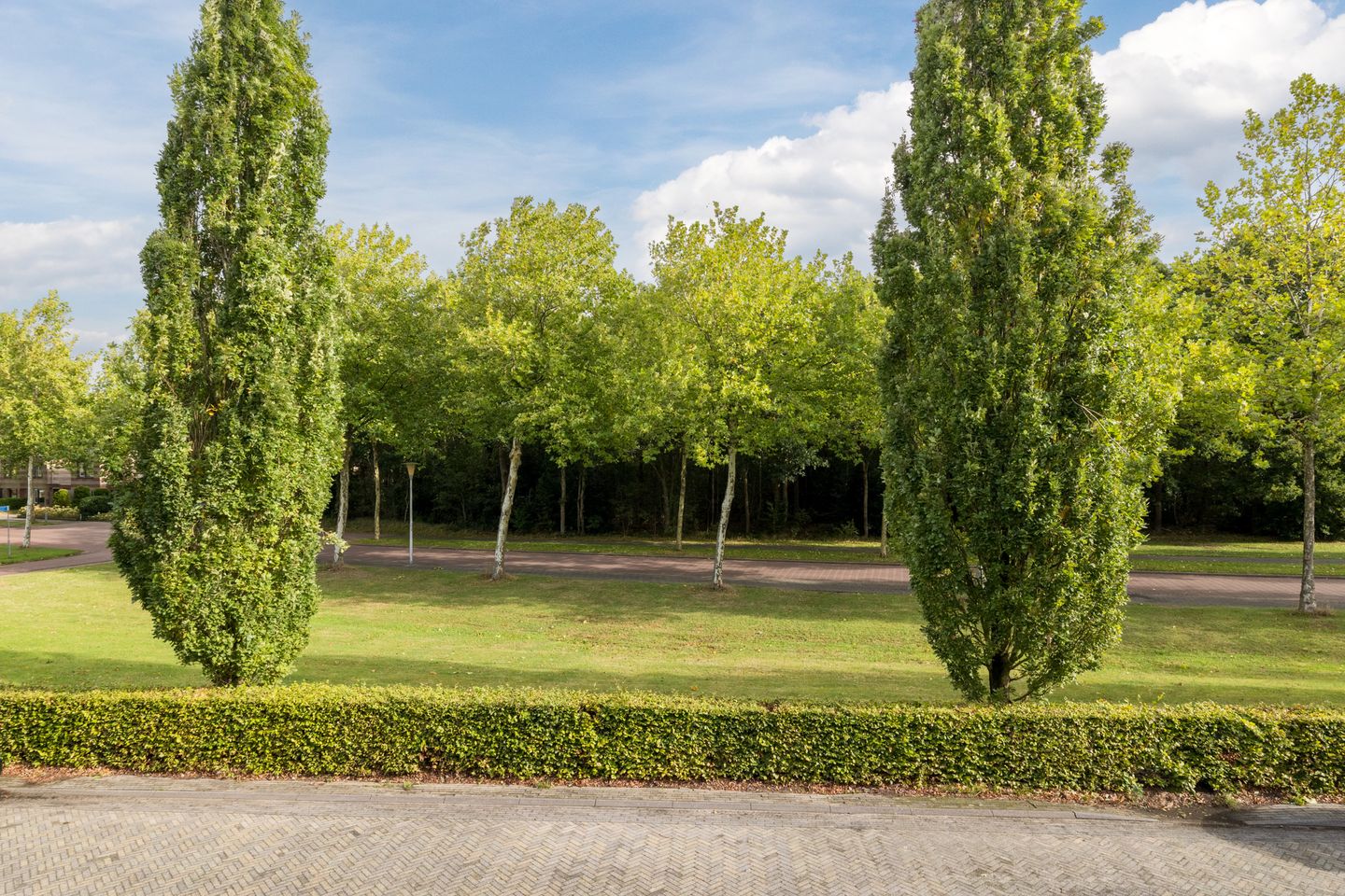 Foto 29 van Grasland 38