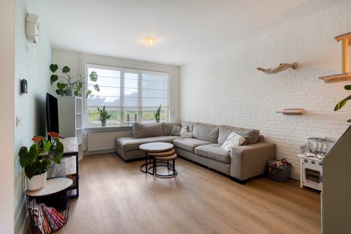 Foto 9 van Nimrod 16