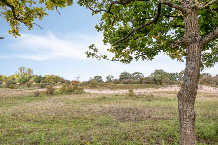 Photo 37 of Zandvoortselaan 301