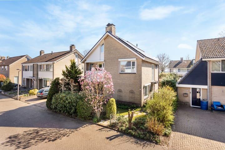 Het Saalkinck 13 main image