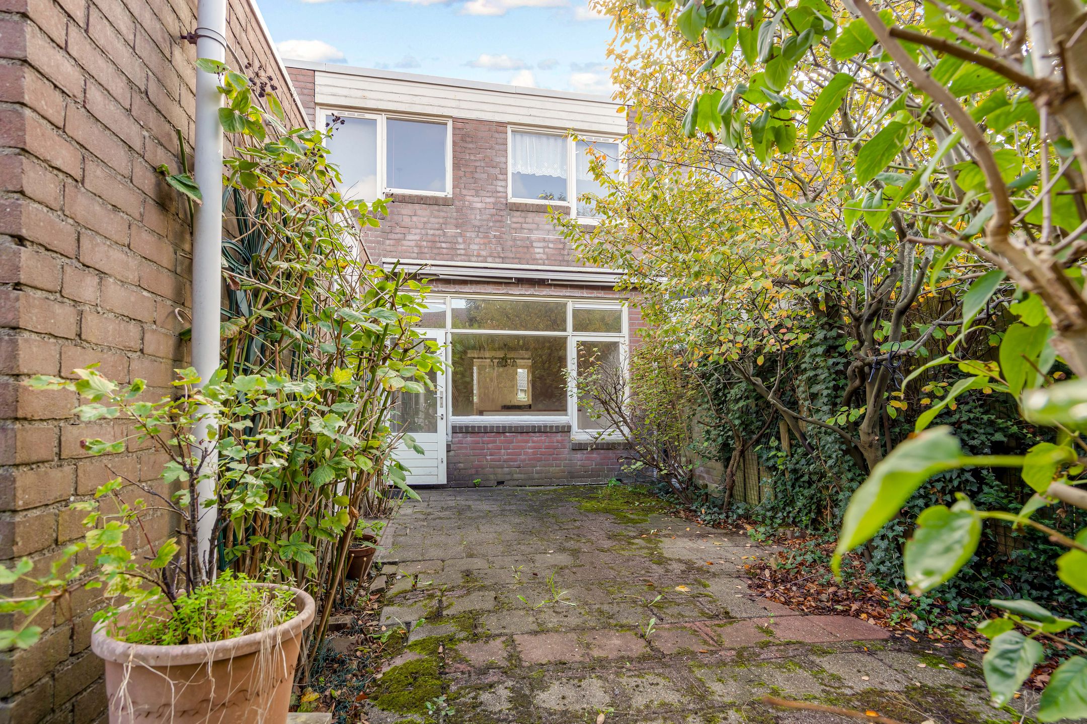 Foto 3 van Middenhof 302