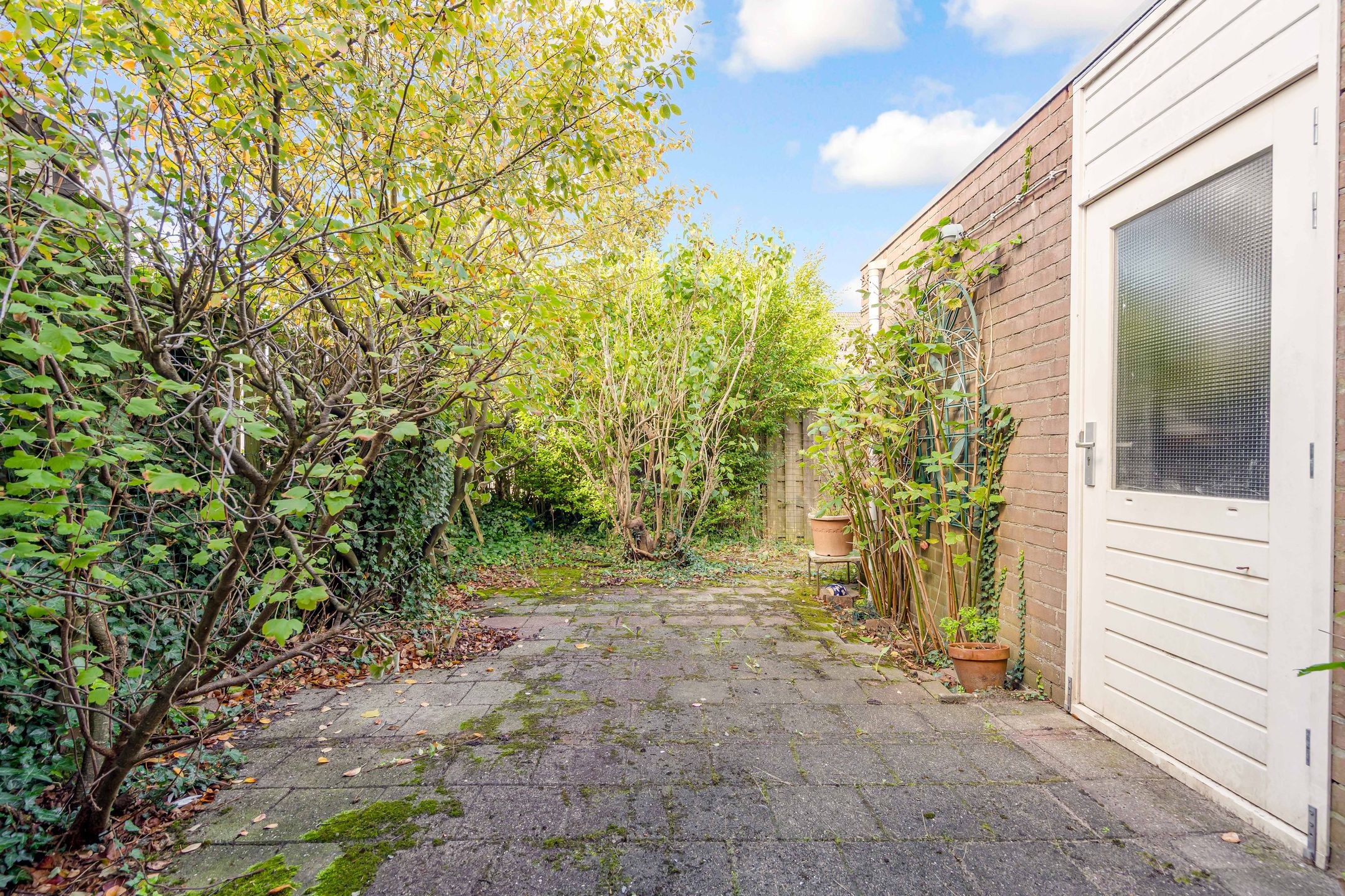 Foto 12 van Middenhof 302