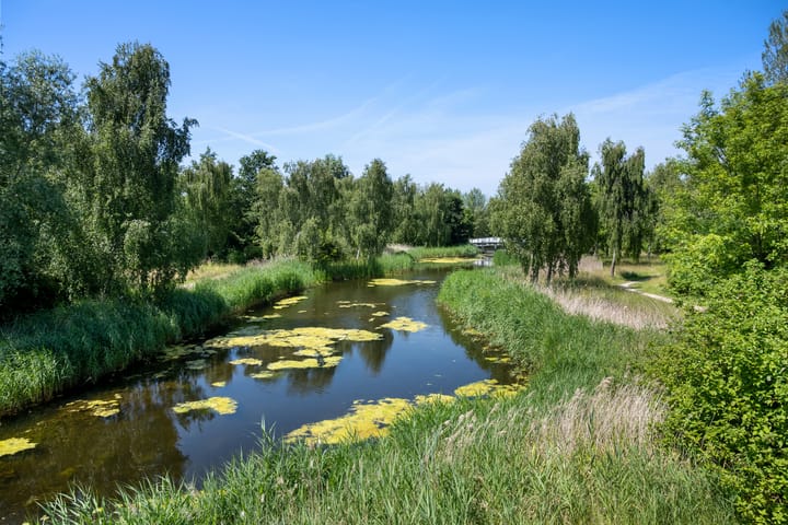 Foto 40 van Papenweide 18